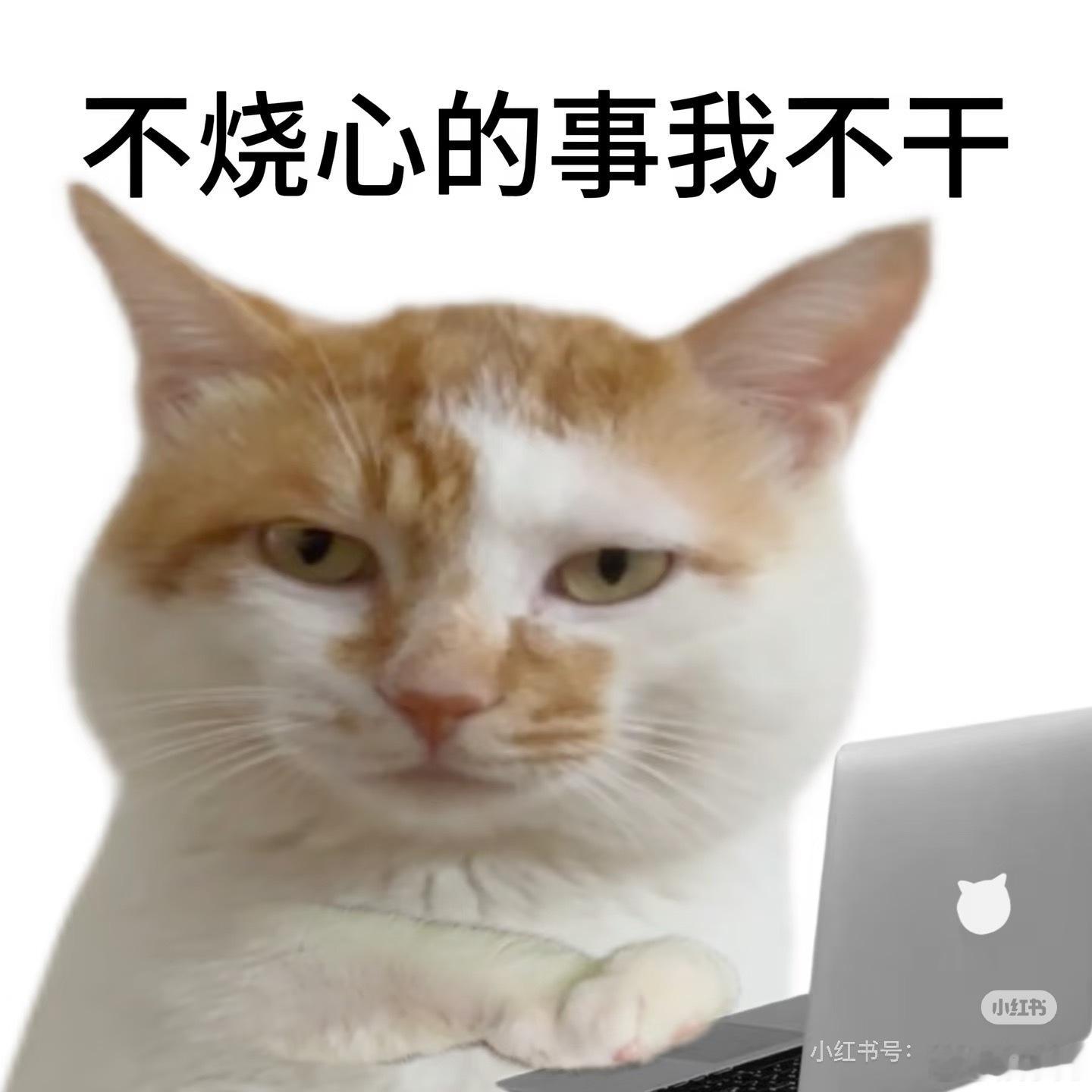 大唐辟珠记我去，我觉得宋古装扮相不好看，常华森你资源差爆了，本来期待鹅和🥜，现