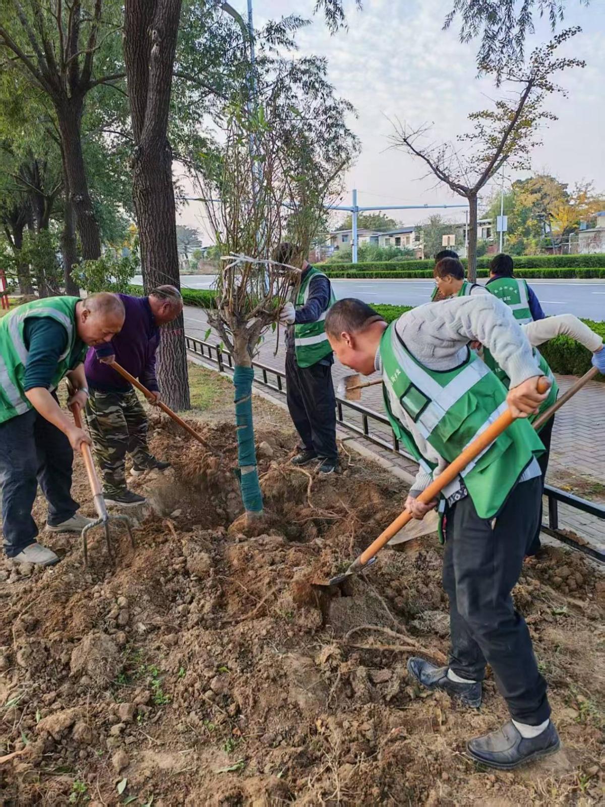 许昌高新区：精准补栽添绿，厚植城市生态底色