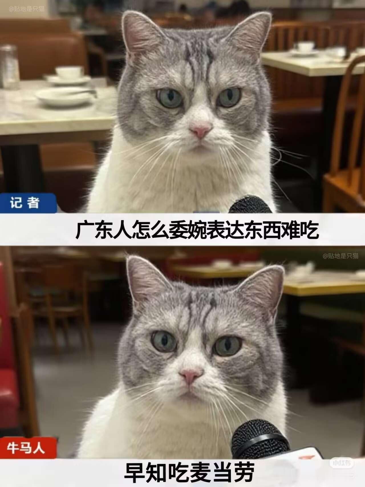 不用打包小票不拿了 ​​​