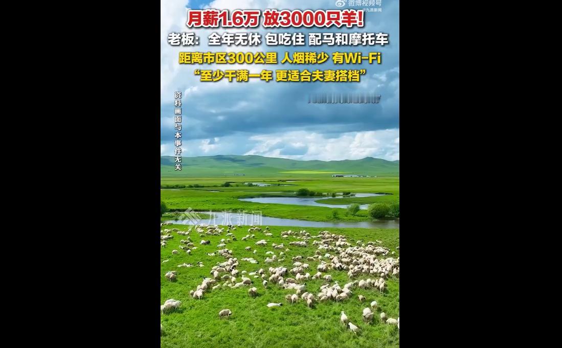近日，内蒙古锡林浩特一牧场开出月薪1.6万元，招聘牧羊人管理3000只羊，老板坦