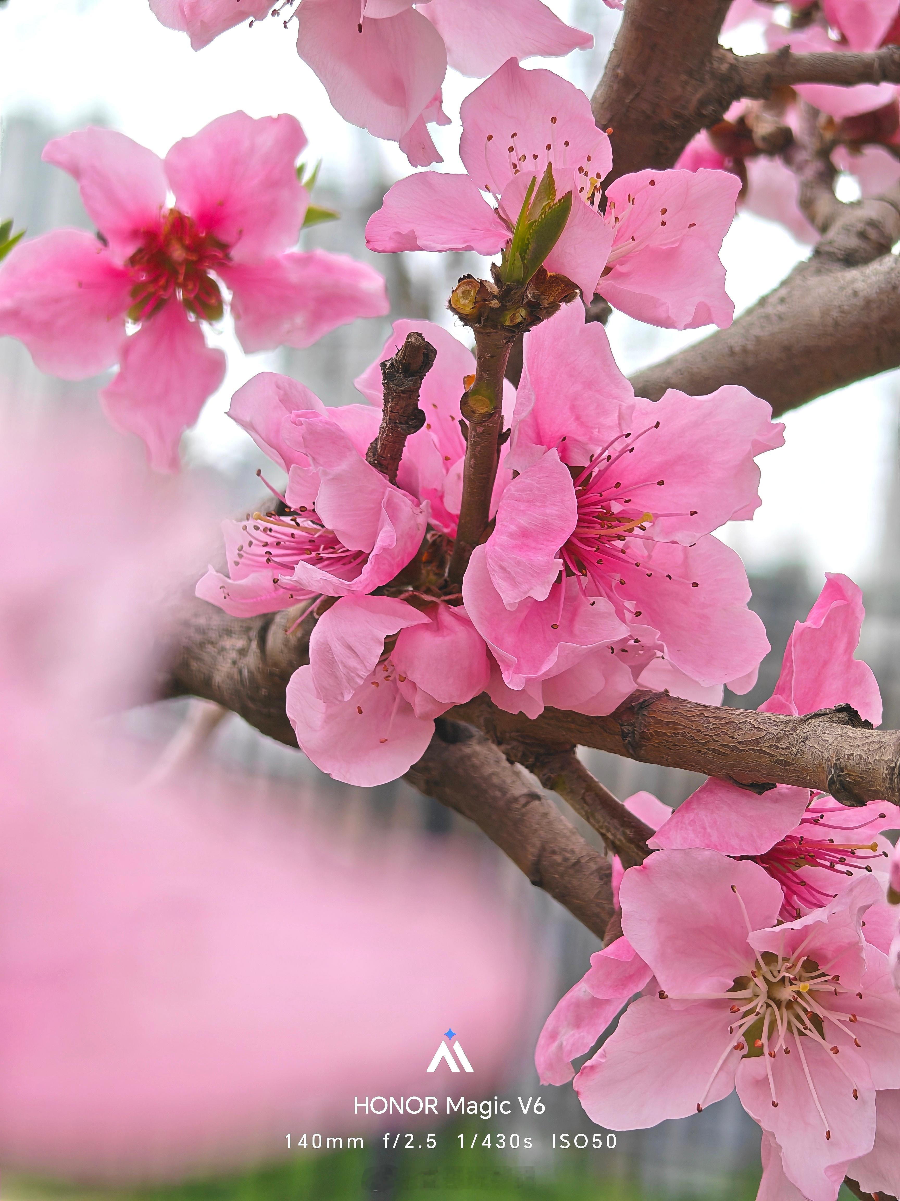 🌈 把春天锁进屏幕！把Color Walk温柔的春日感搬进手机！选了清透的浅色