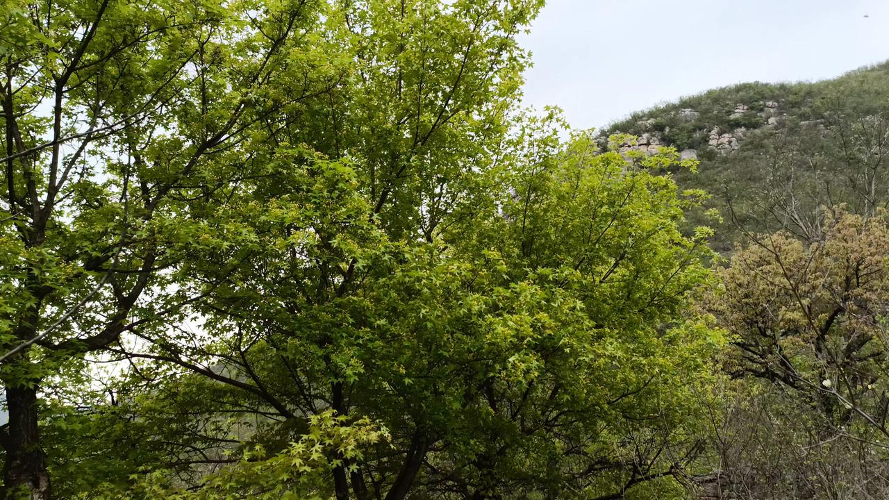 此地位于山西黎城县秋树垣村东南方，是深山沟里一座无名的小山村。如今走进村里，从山