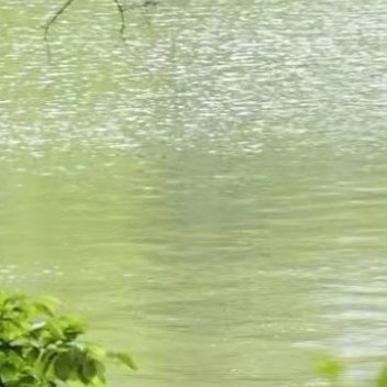 森林驿站 🌳森林驿站 🌳熊猫守护者 善不可不弘，恶不可不去。善心人人有，快乐