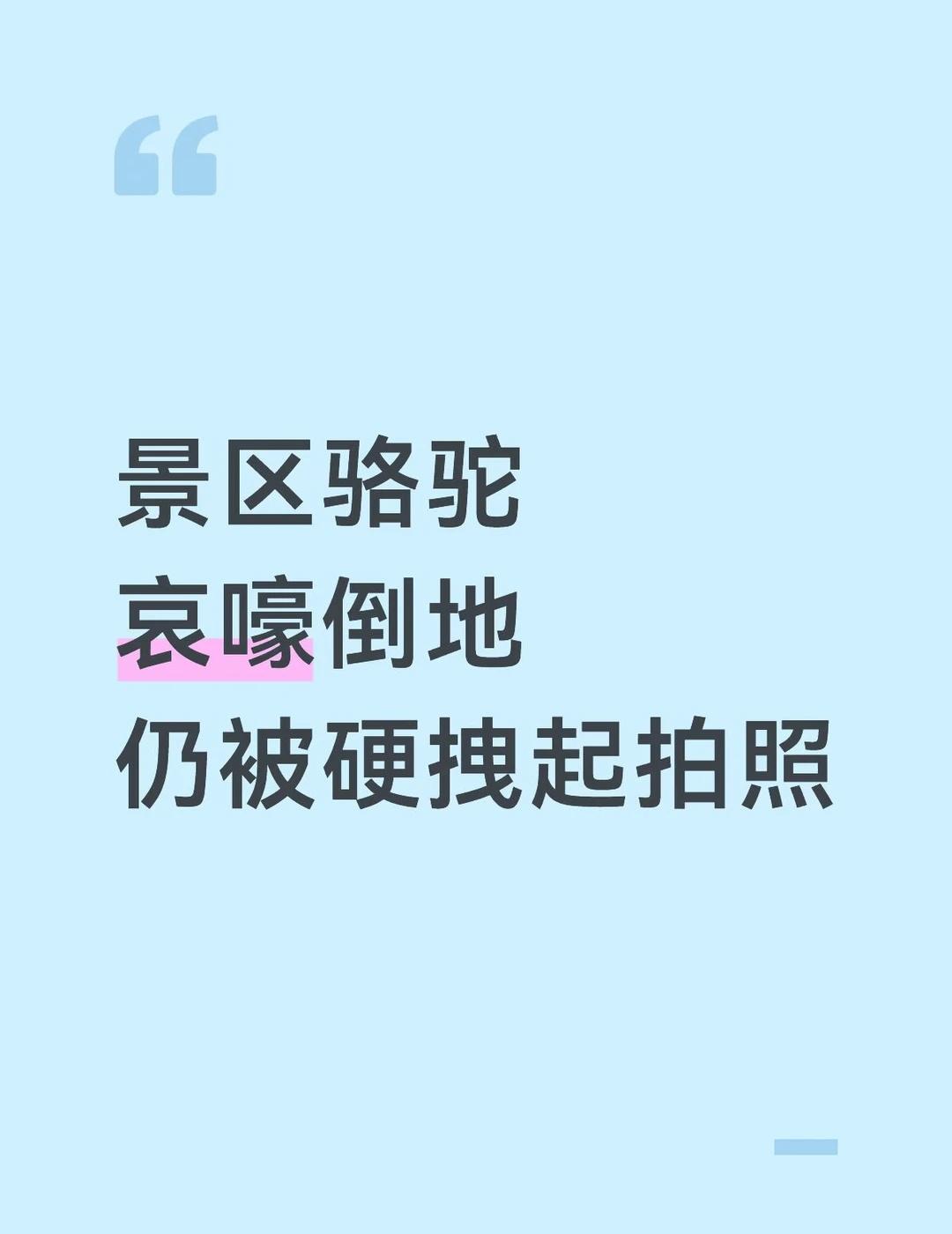 景区骆驼哀嚎倒地，仍被硬拽起拍照
日前，一段新疆阿勒泰海上魔鬼城景区骆驼疑似被“