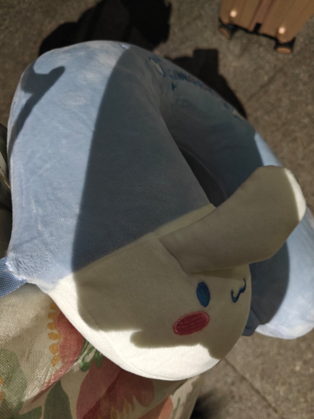 一个人背个猪，一个人带着狗，就这样又来我们的快乐老家了！ 