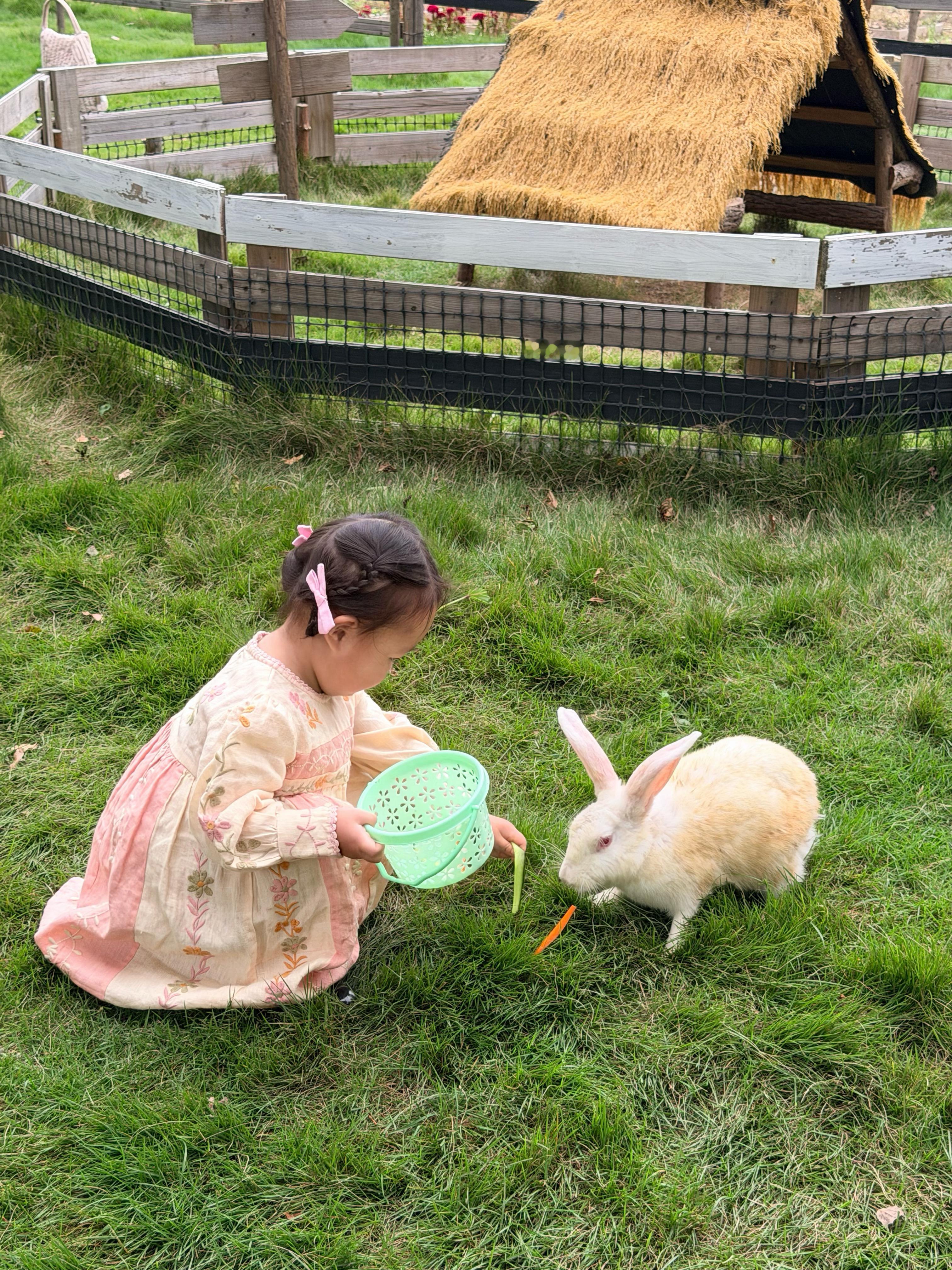 啊，看到心都化了[许愿星]女孩纸真可爱 ​​​