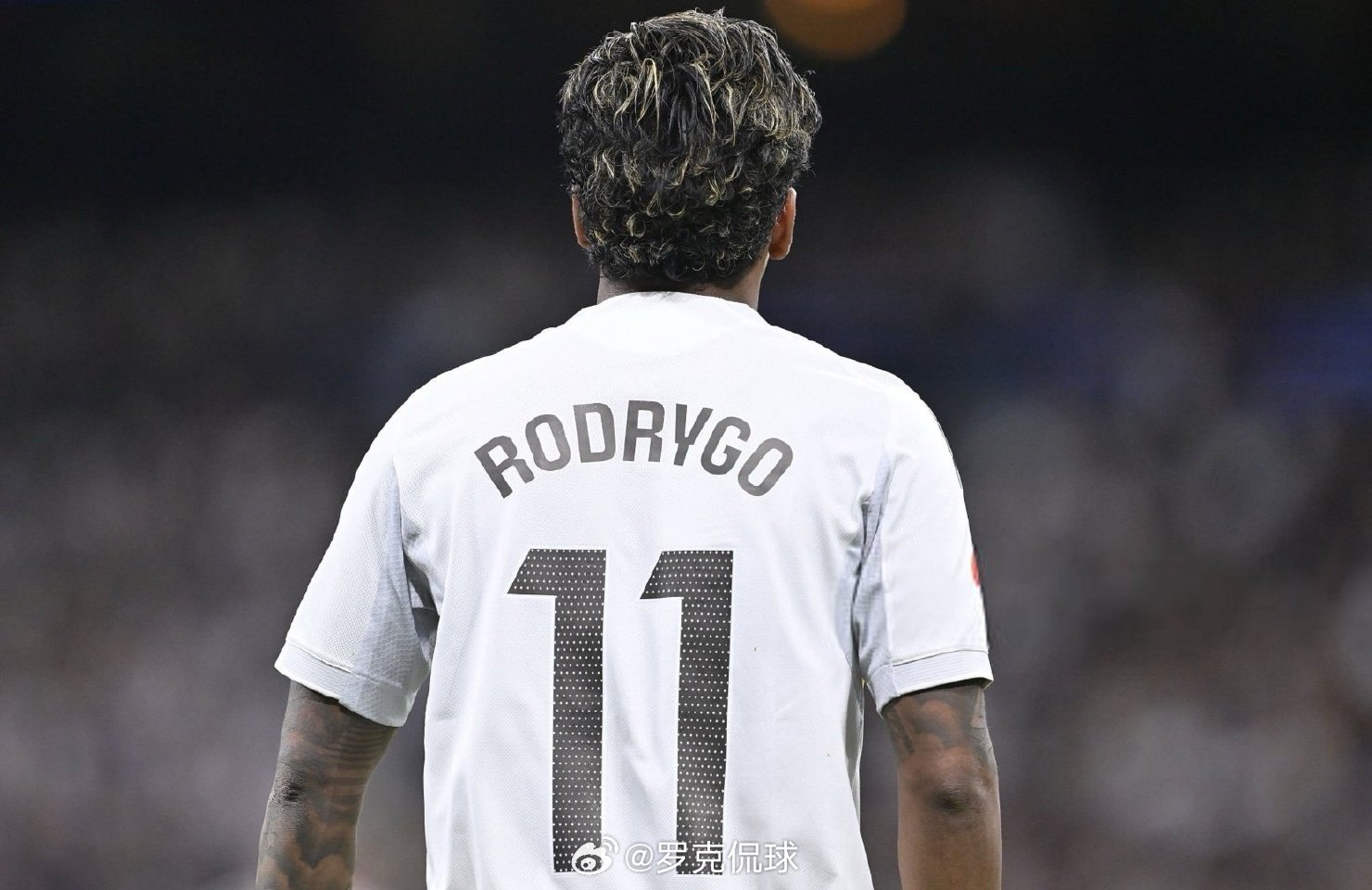 罗德里戈十字韧带撕裂皇马前锋罗德里戈确诊右膝前十字韧带撕裂合并外侧半月板断裂的重