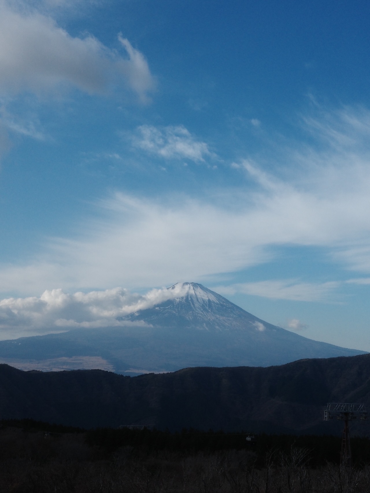佐々木久美🦒「あけましておめでとうございます。2026年もみんなが元気