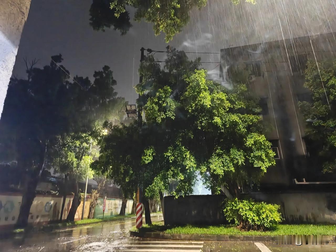 雨夜站在这里看着大雨倾盆，路面被雨水打得到处都是水洼。突然就觉得人生也和这雨夜差