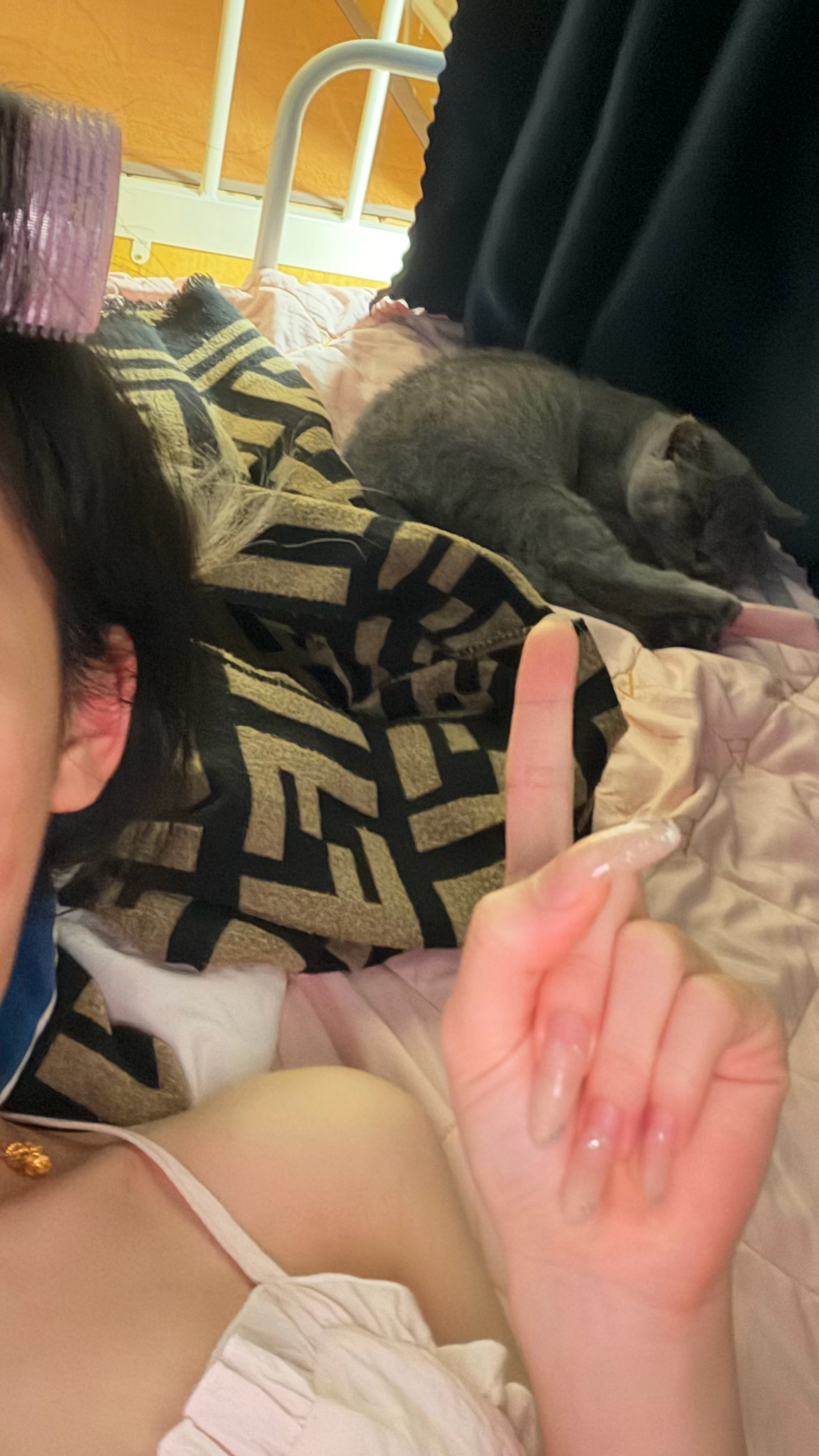 好玩小猫嘿嘿嘿跟我待了三天 好可爱 下次见就是巨大蓝猫了宝宝 趁小宝宝多玩一会吧