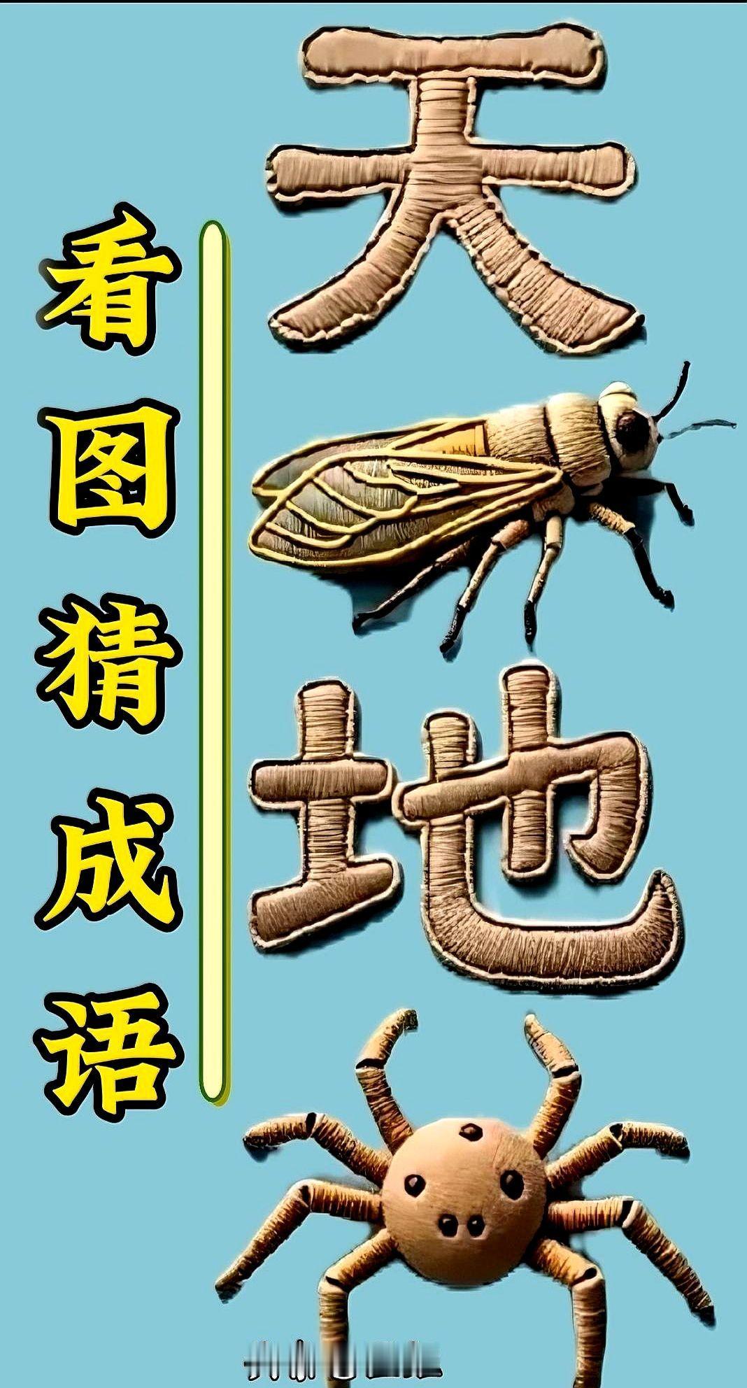 一张图把全家难住

老姐妹群里甩来一张图：天、地、一只蝉、一只蜘蛛，让猜成语。
