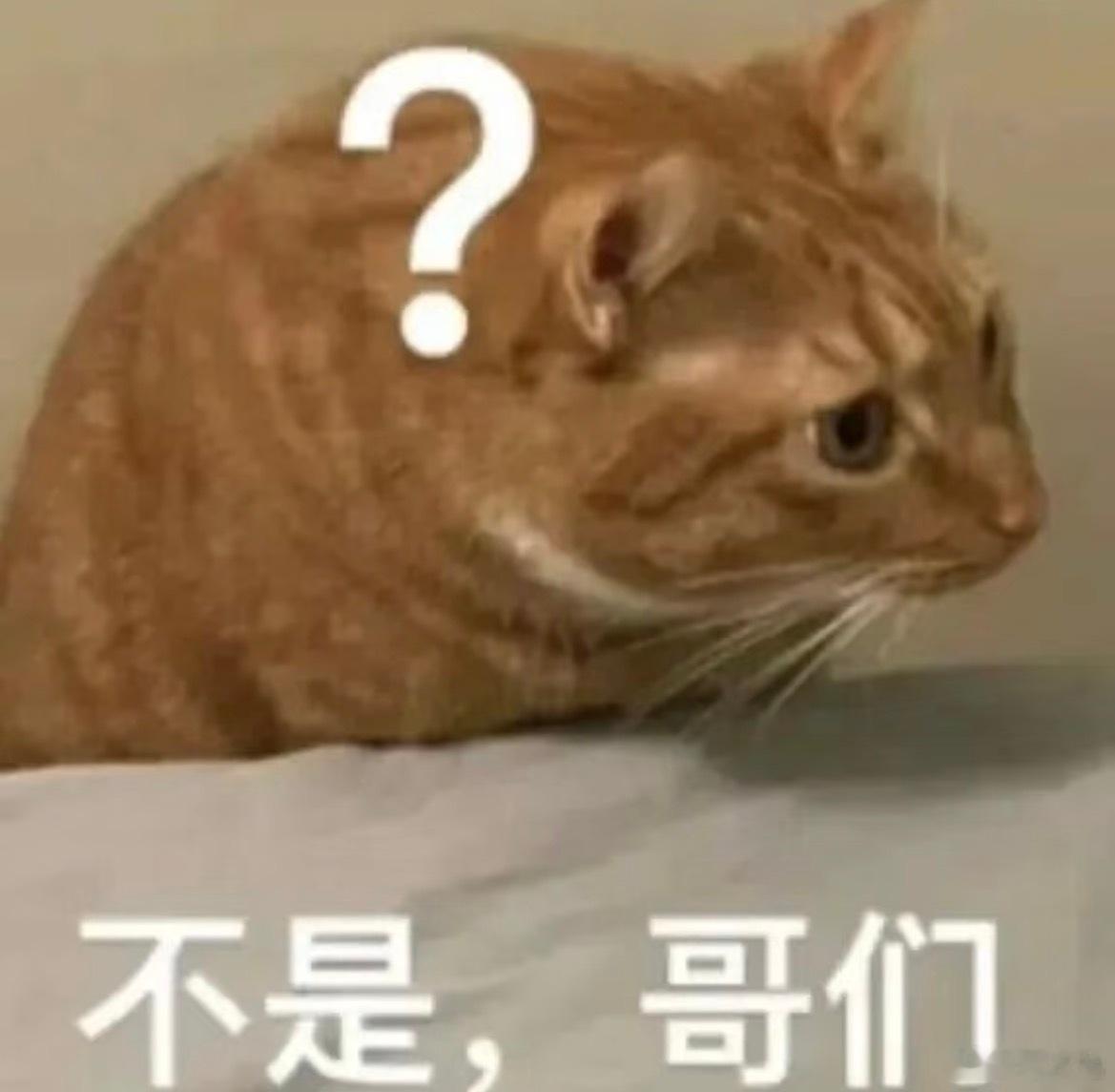 周杰伦刘若雪合照周杰伦 私生子 周杰伦今年是犯太岁吗？怎么一年下来全是感情债？先