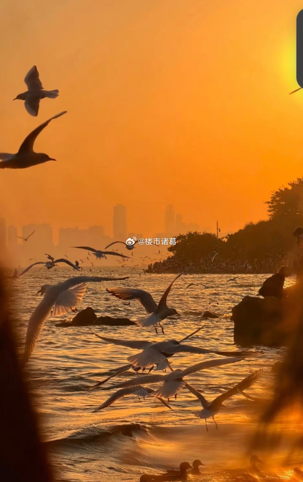 全国楼市的回暖链条通常是：从一线城市核心地段的高端豪宅和品质改善开始，再蔓延至次