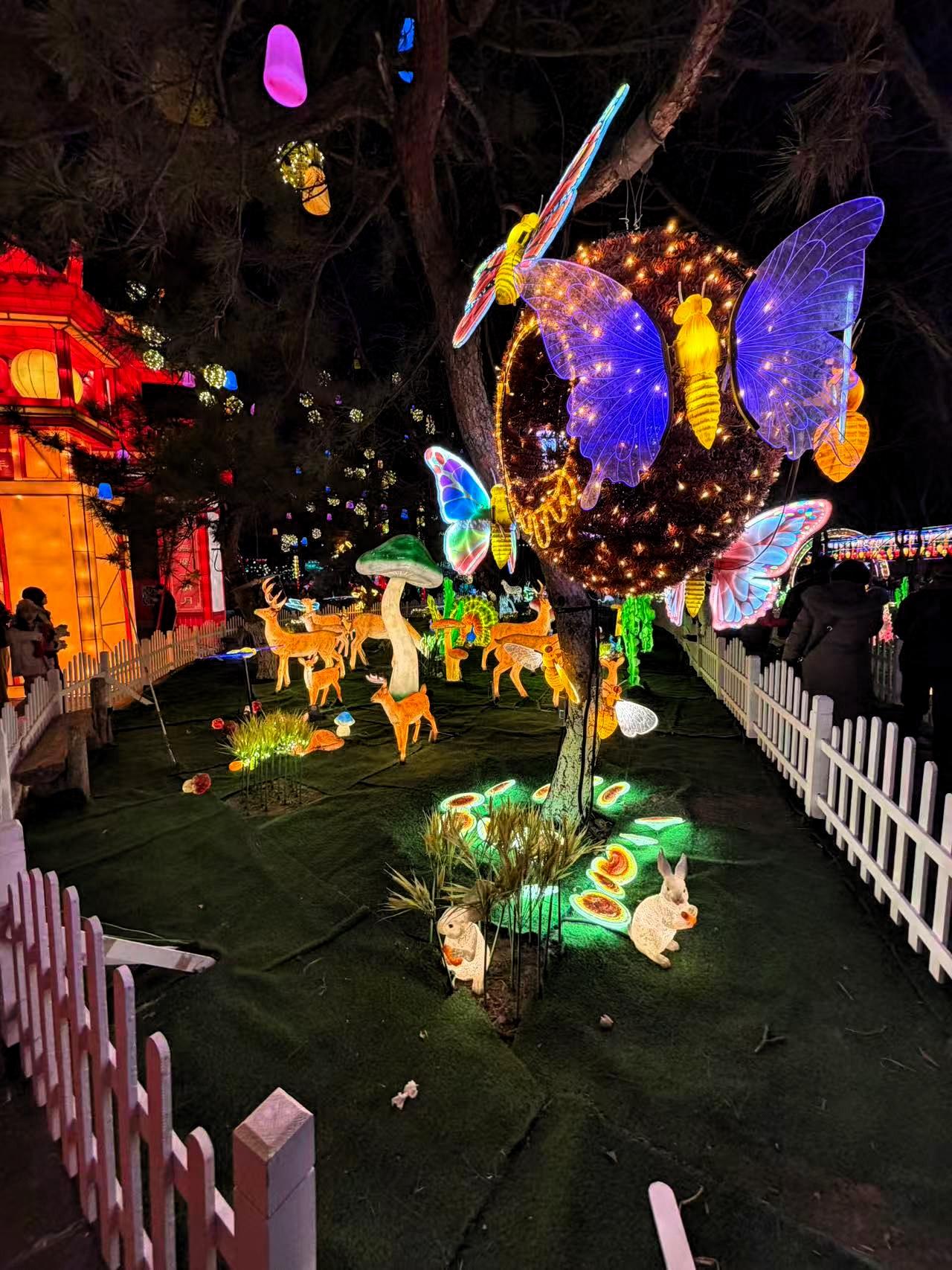 【原创】看花灯