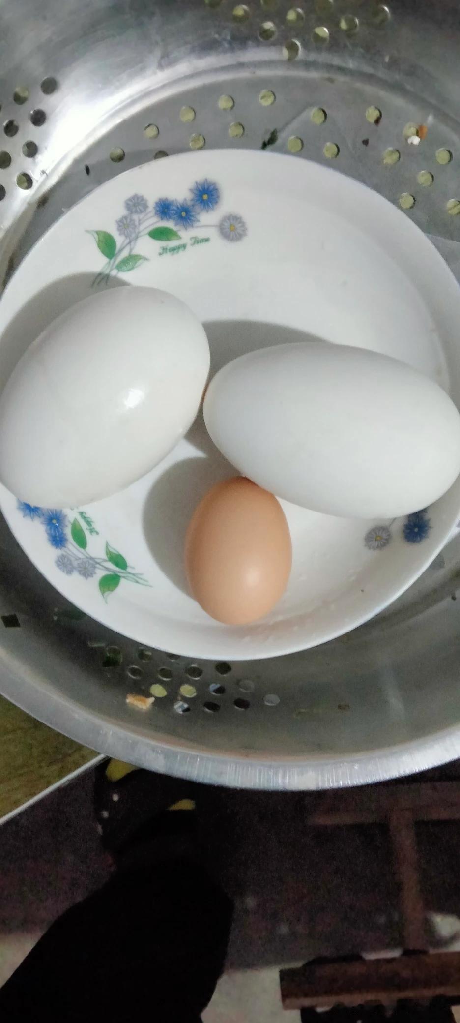 也不知道大鹅蛋有多少营养，这两天的头条总是刷到吃大鹅蛋对身体好。
具体也不清楚，