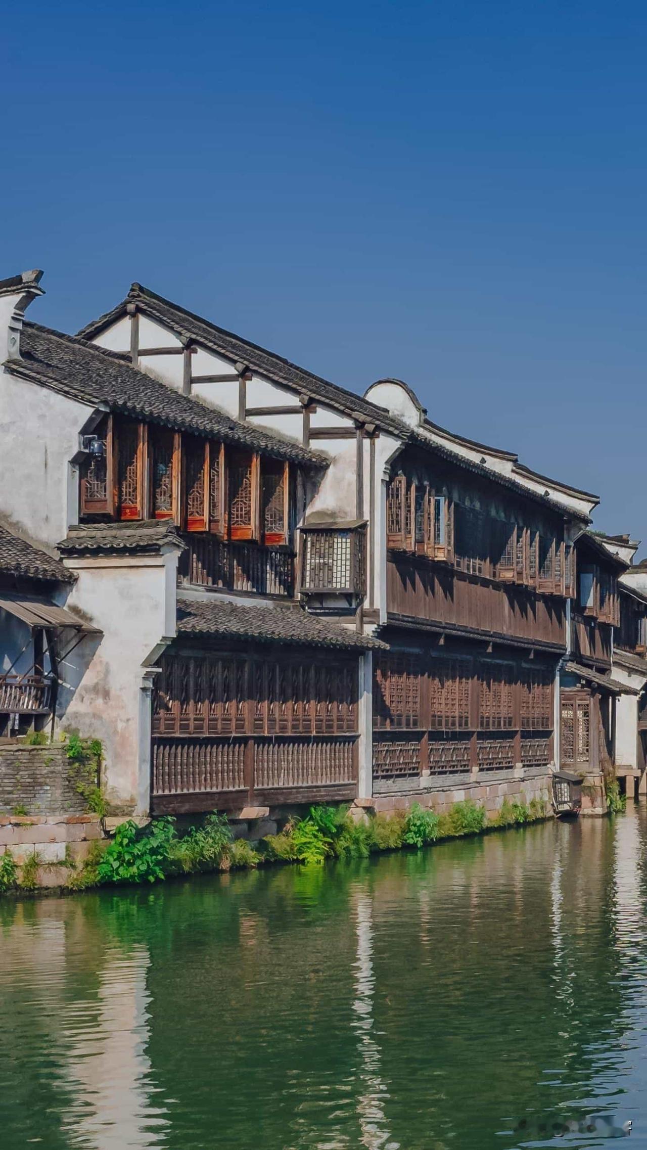 天南地北大拜年