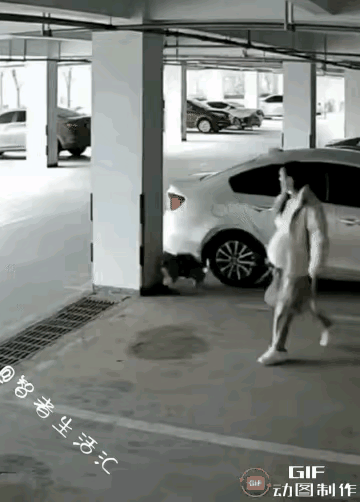 这个救人的毛孩子被误解了，而且还被人打了一下，当最后的结果出现后，当事人才恍然大