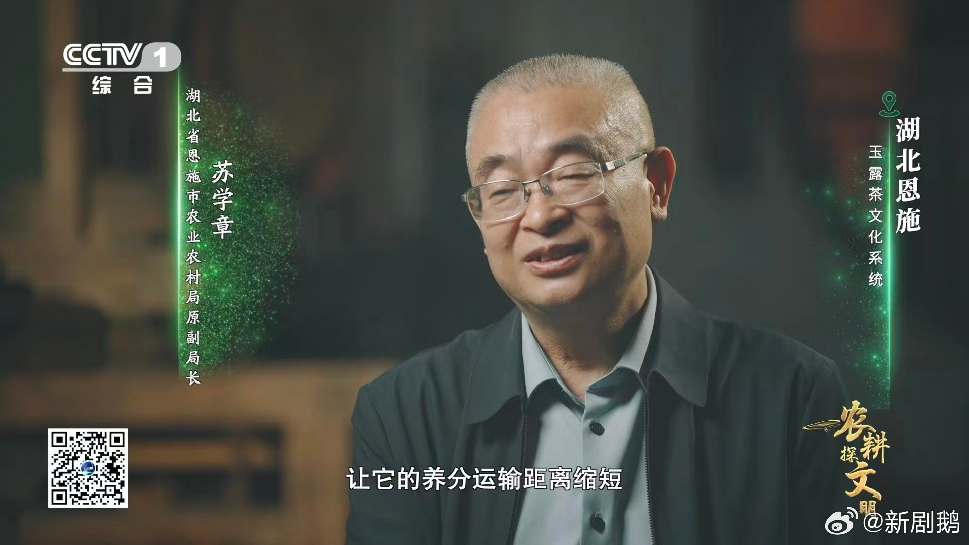 茶树做发型看得好解压 谁懂啊！看茶农给茶树做发型越看越上瘾！轻修打理表面枝叶，深