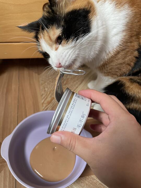 🐱：谁我看看谁还没吃过它们的排毛罐
