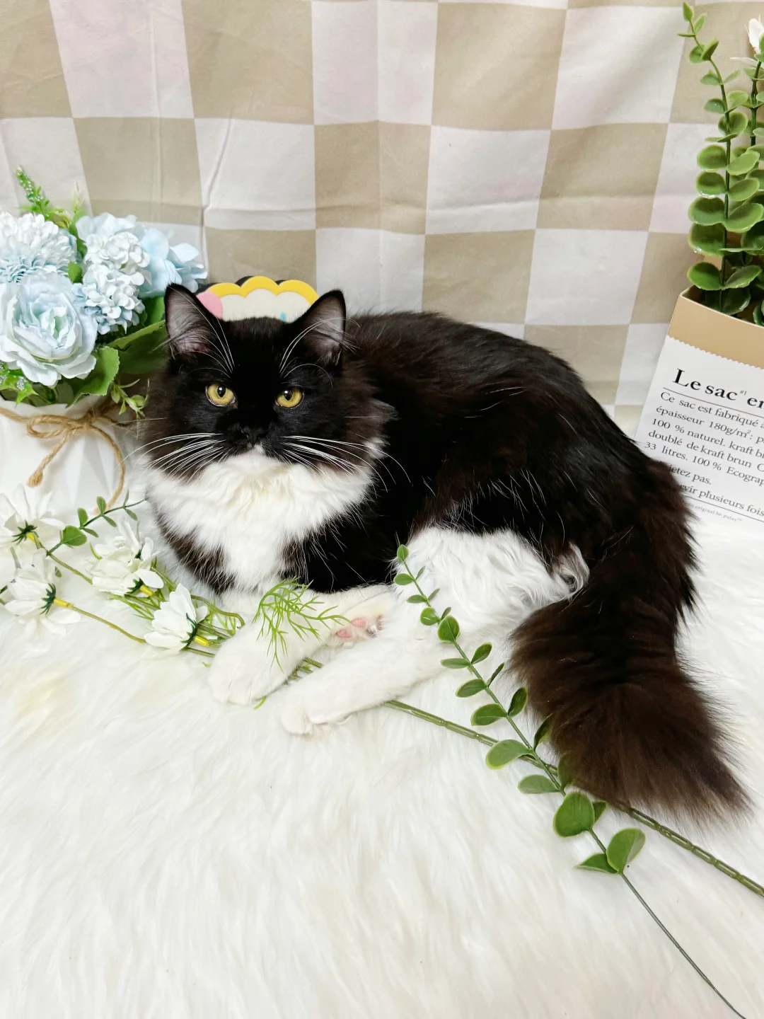 12🈷️好物分享