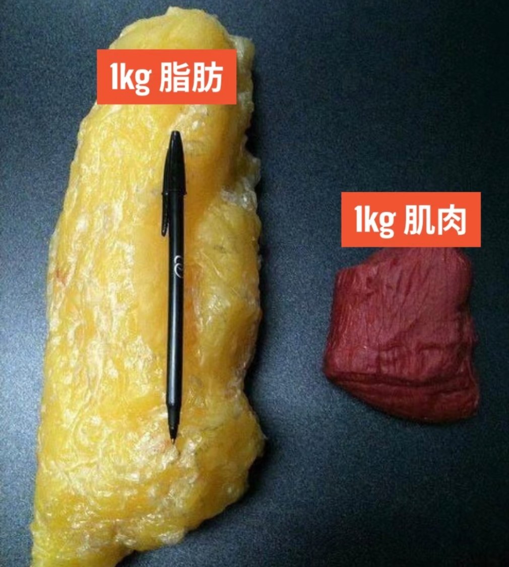 让体脂率不断下降的习惯救命！让体脂率下降的习惯原来这么“折磨人”：戒掉宵夜的第N