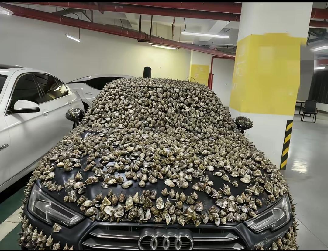 车位被占10天，
业主怒包“海底礁石”车！
解气却惹祸？
 
谁遇上霸占车位的无