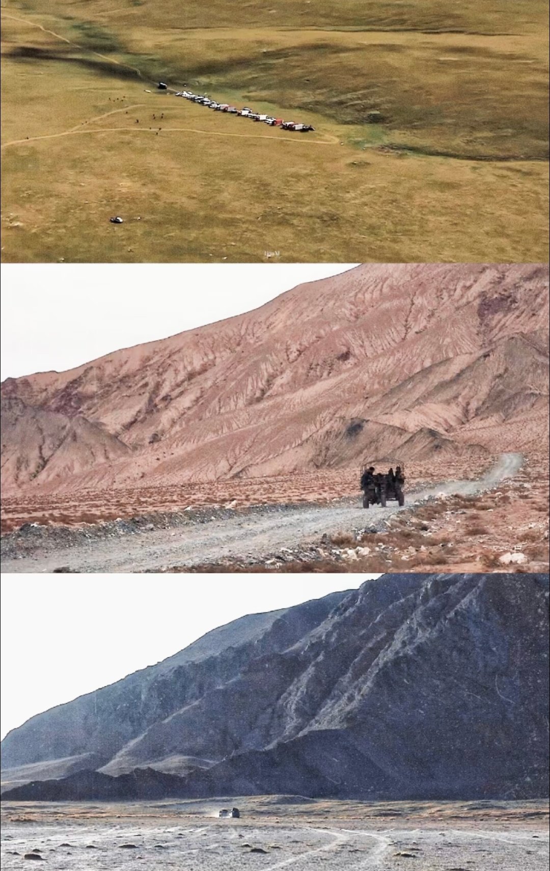 生命树镜头美学给到夯 导演把青海拍活了！荒原雪山不只是背景，仿佛会呼吸会说话。那