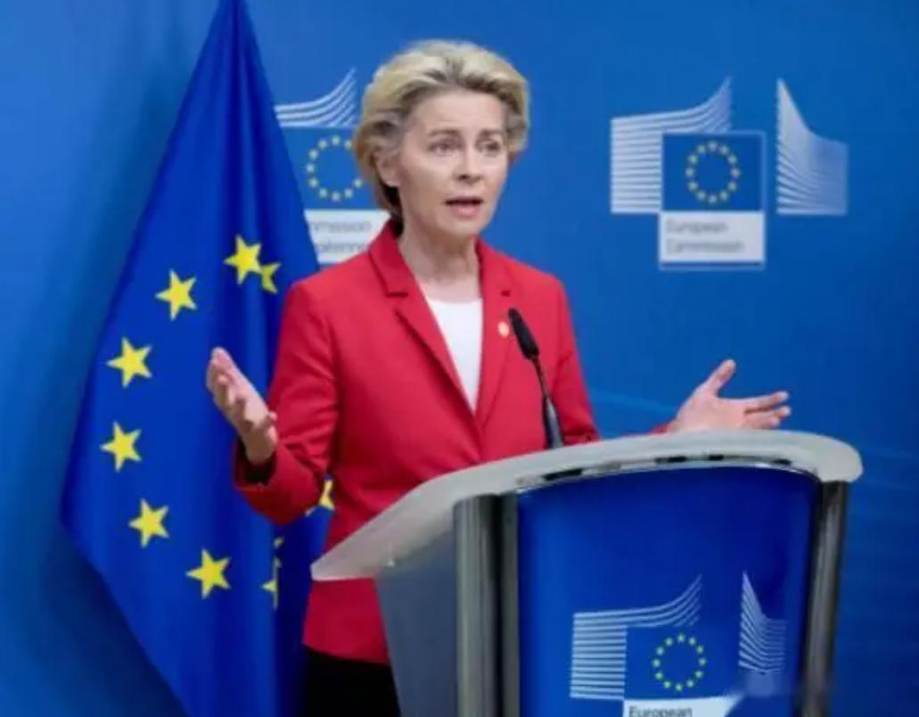 [熊猫]一旦我们搞定高端光刻机，那么对ASML和台积电将是毁灭性打击，因为全球1