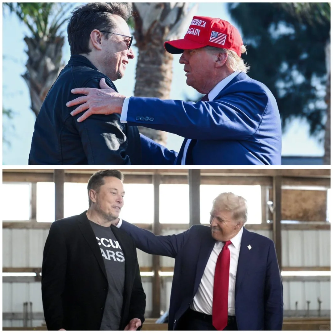 马不离川，川不离马，好朋友一辈子……