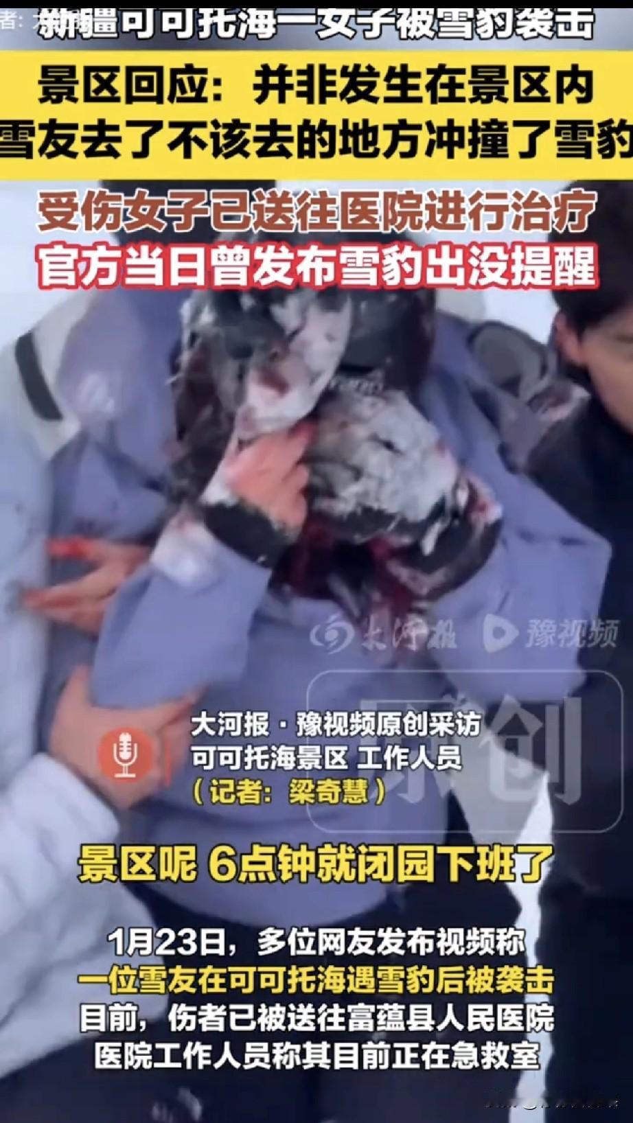 1月23日晚，新疆可可托海发生雪豹伤人事件。一名女游客在非景区区域被咬伤面部，网