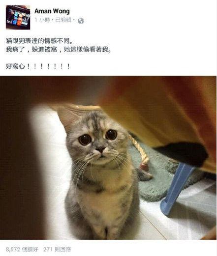 病了一直躲在被窝，然後发现他家的喵星人一直在偷看他，还一脸担心的样子。。。有这样
