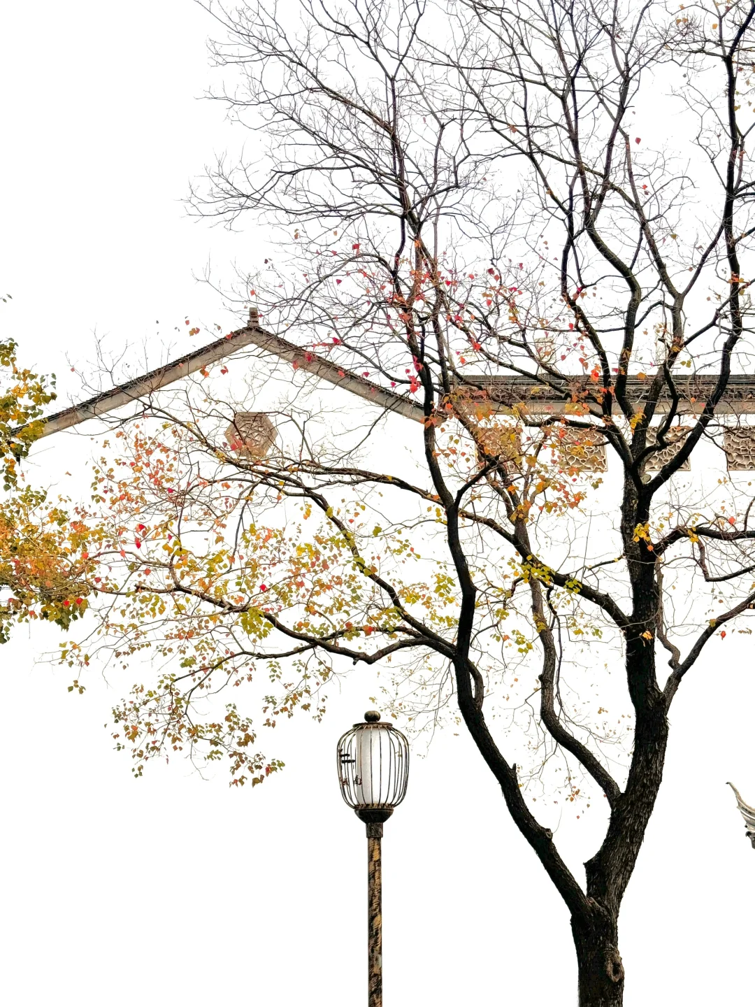 如何用一棵树描述江南