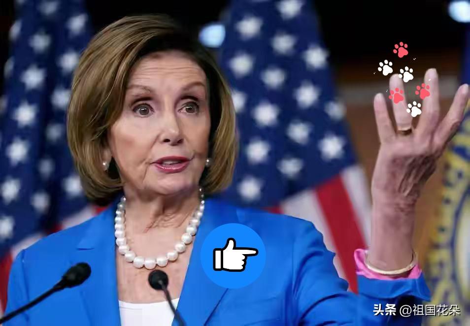快讯快讯！
佩洛西痛批特朗普：他是地表最坏家伙！
11月4日，佩洛西在接受记者采