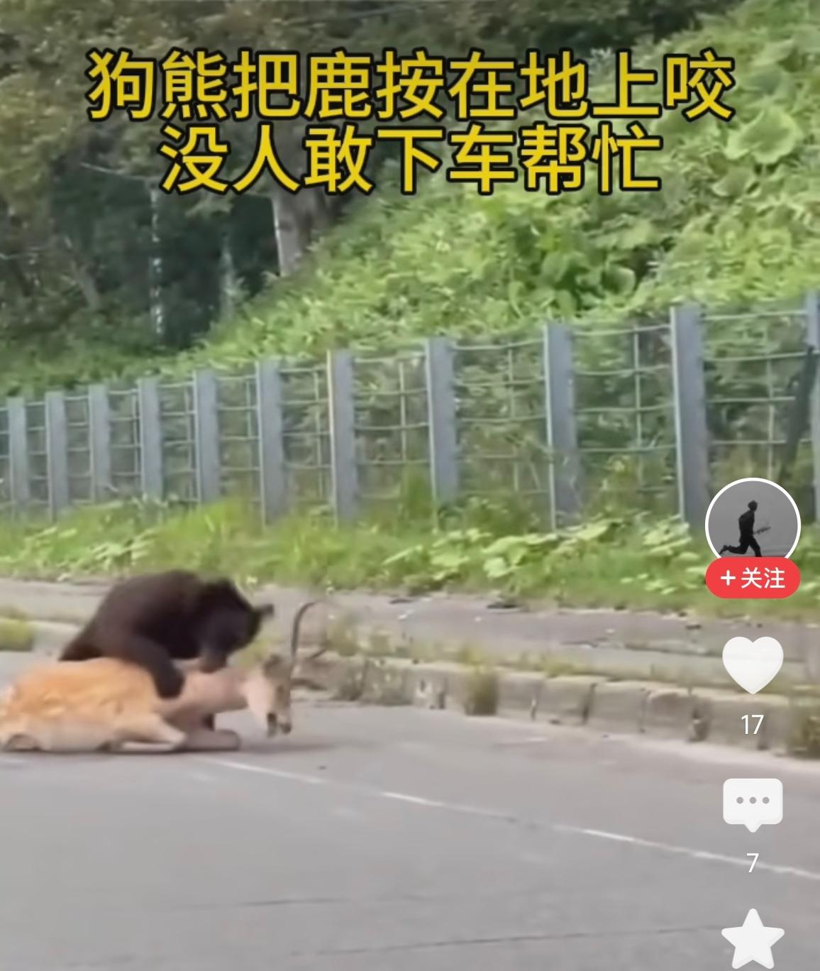 肉归熊，角归人，各取所需，想象一下谁是鹿，谁是熊， 谁是那个人[灵光一闪]