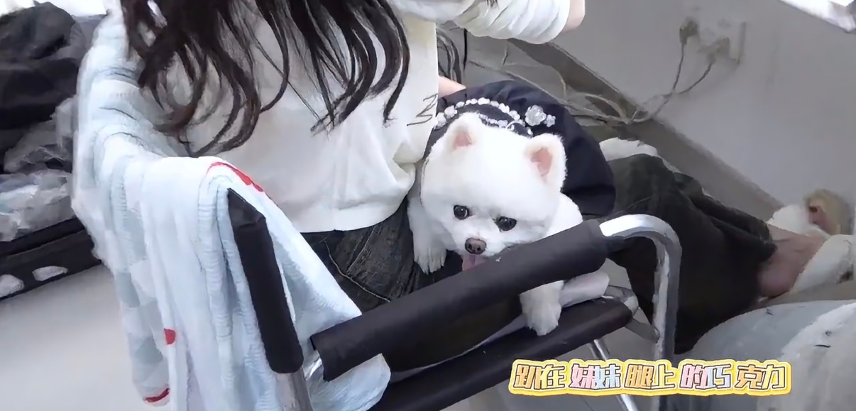 只有哥哥能治愈我 ​​​