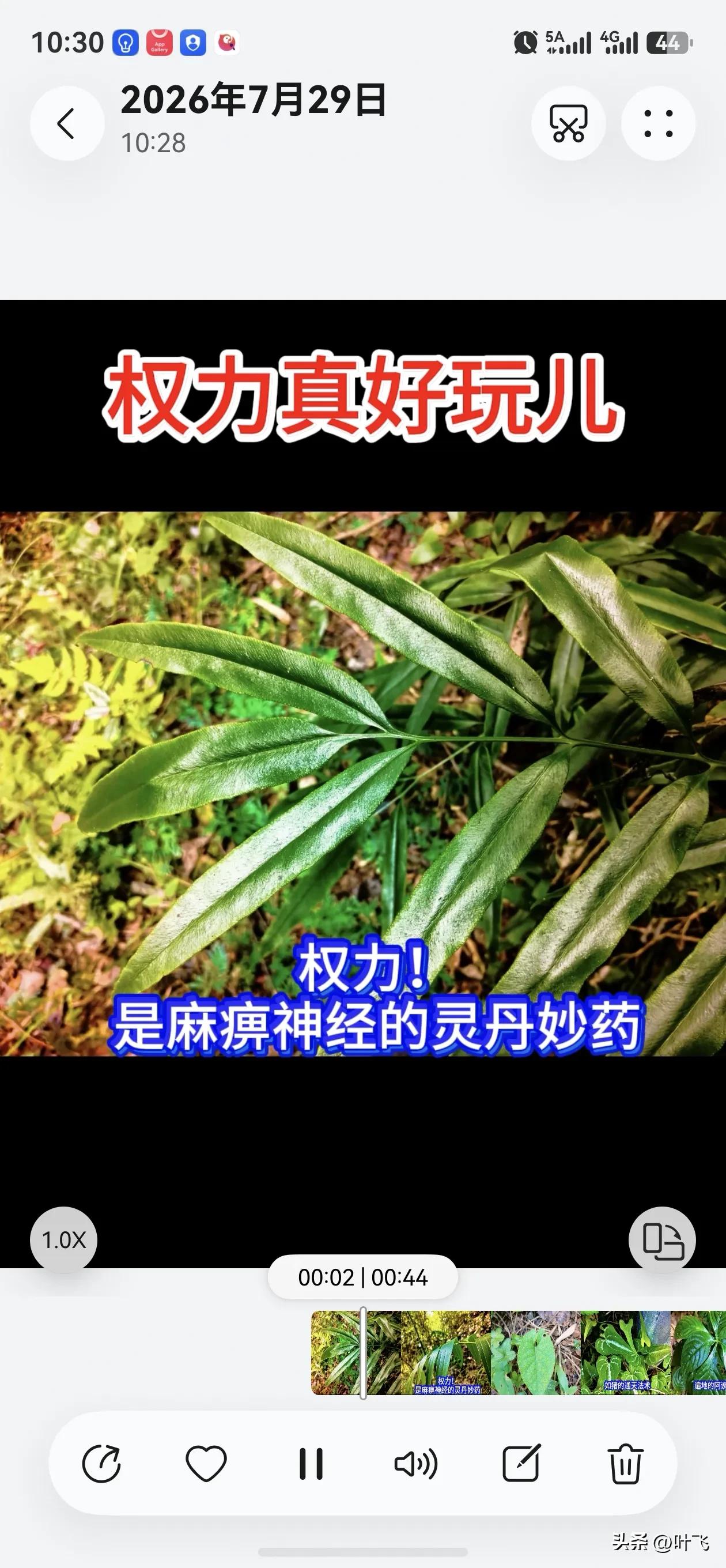 权力真的很好玩儿。
权力！是麻痹神经的灵丹妙药，
权力！是诞生腐化的壮母娘胎。