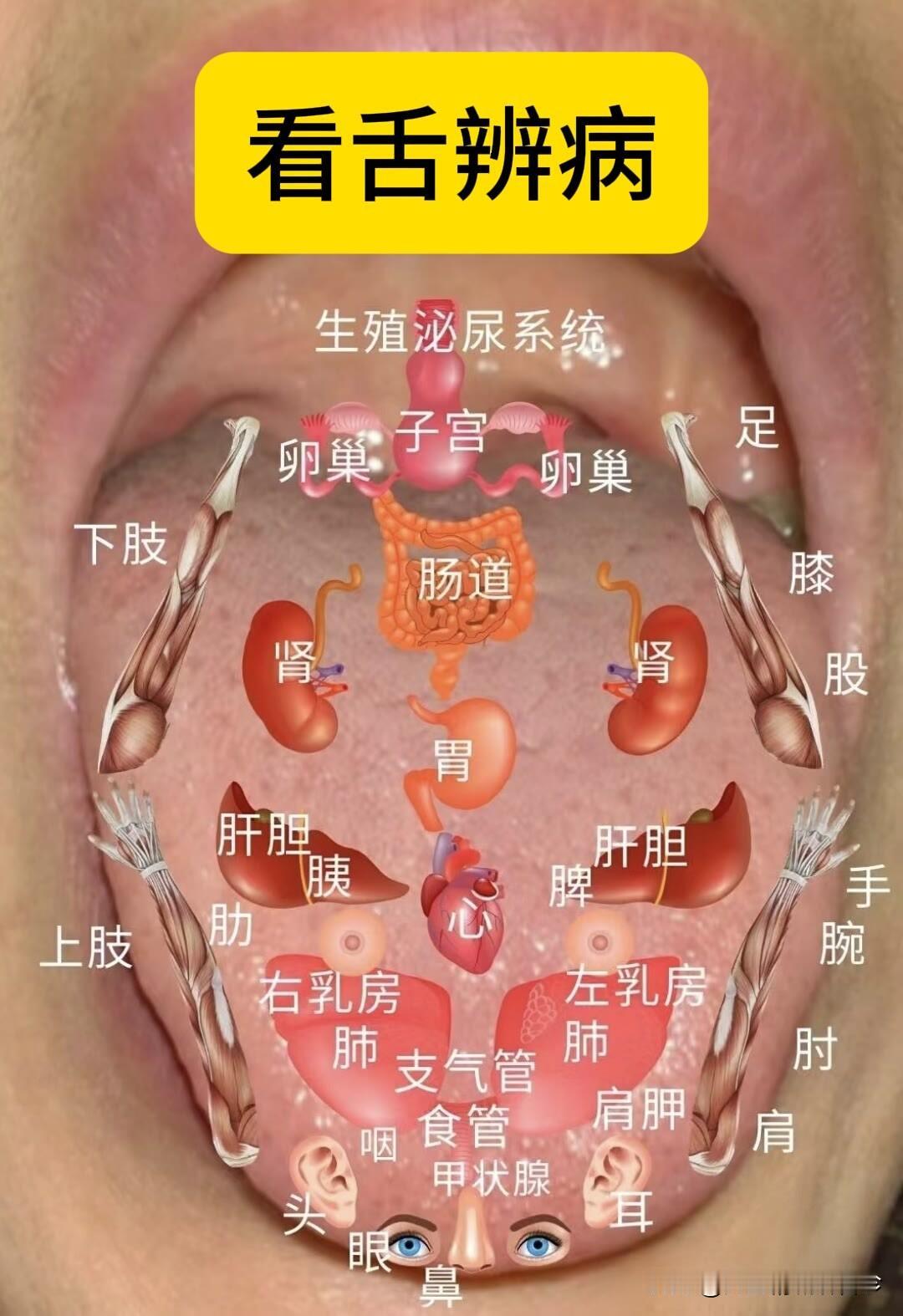 今天继续给大家看舌头——第一天，你发我看，马上出结果！

注意：关掉美颜，关掉滤