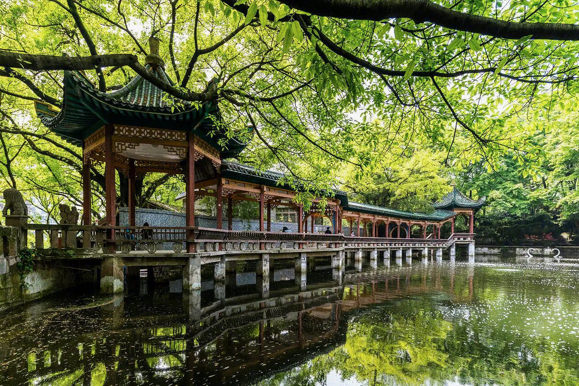 夏意正浓，八月已至，𝔸𝕌𝔾𝕌𝕊𝕋日子安静美好。🌿🍃祝大家接下来都