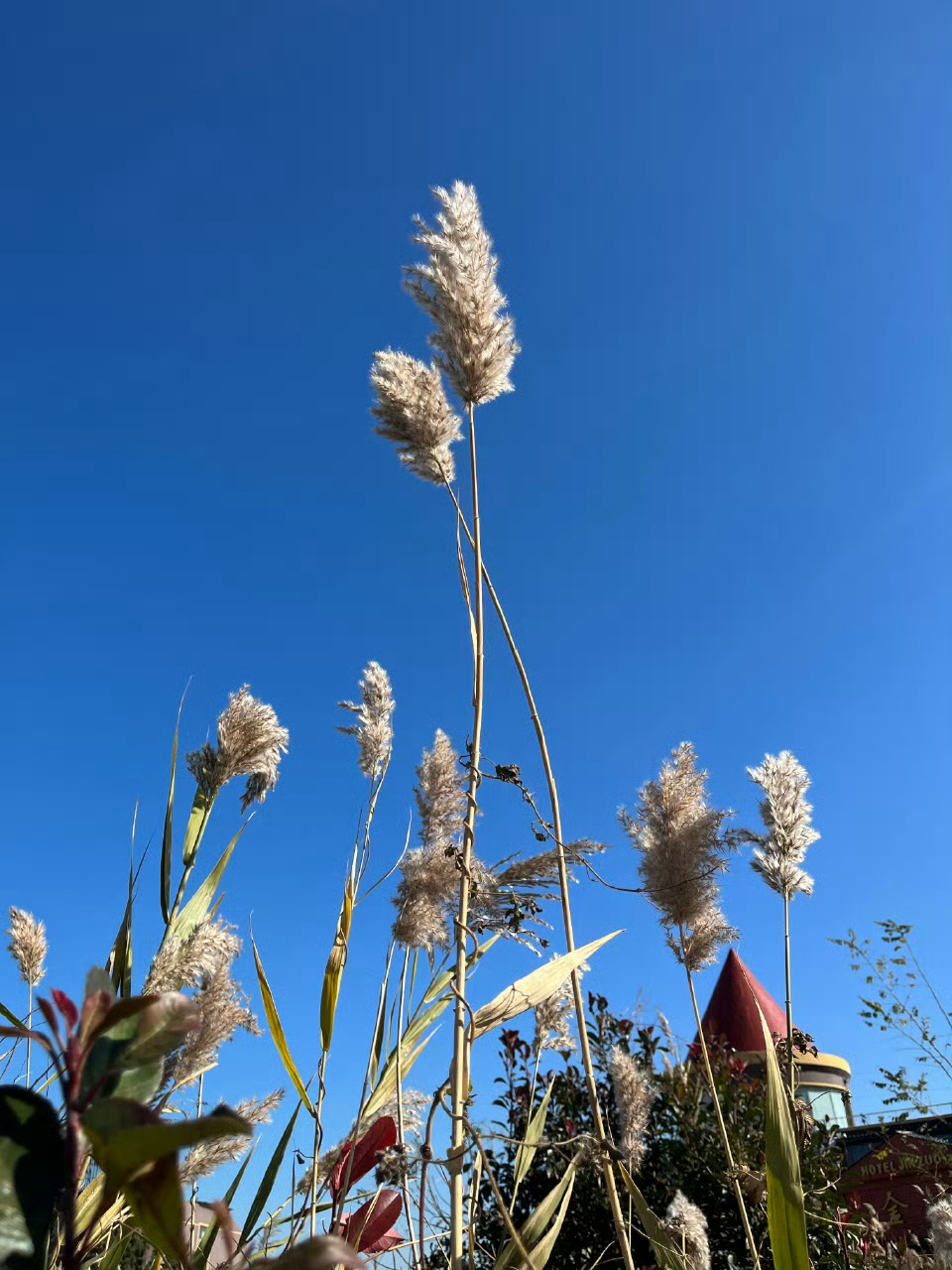 你好，青岛  ​​​