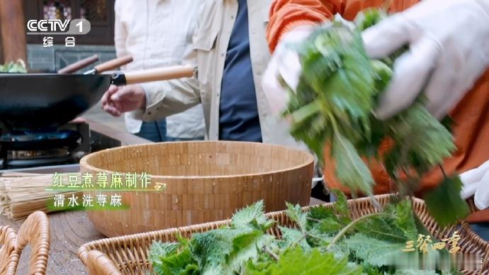 外地人见炸虫子喊“达咩”，云南人淡定端出荨麻炒肉，草经沸水焯去刺，清香成馔，尽显