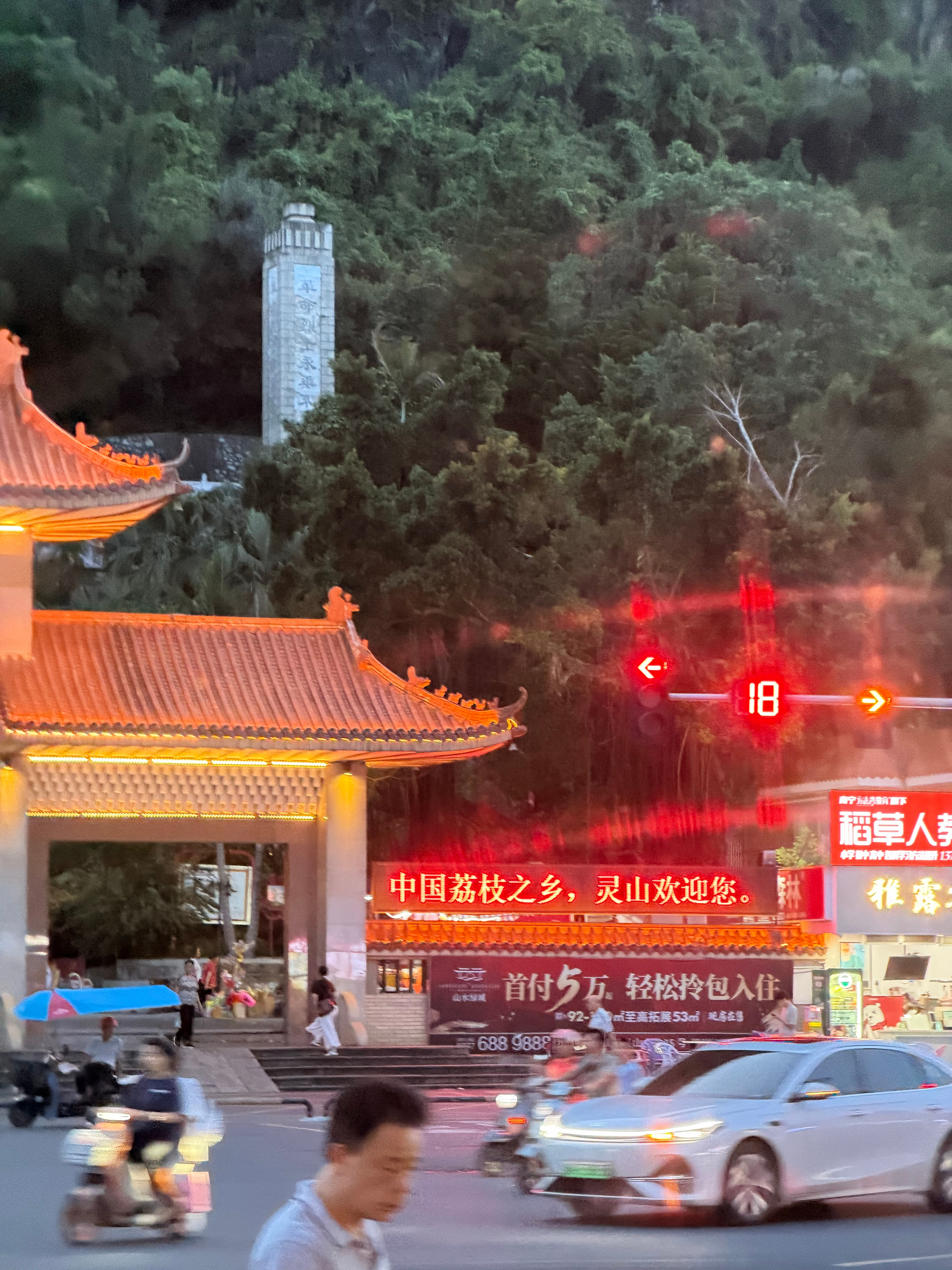 荔枝之乡 