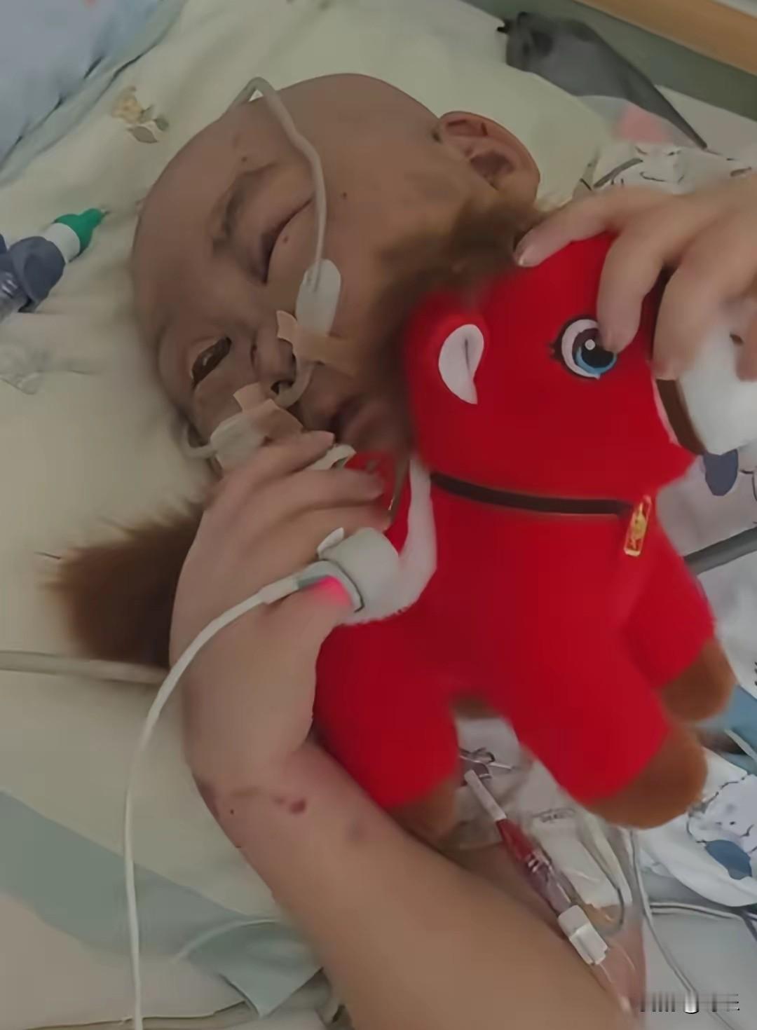 泪目！白血病晚期儿子的临终心愿：想要一只红布马，爸爸的回应看哭全网
 
儿子确诊