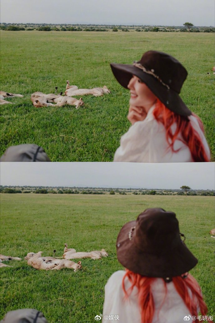 毛晓彤坦桑尼亚草原旅行repo来袭✨奔赴非洲旷野，邂逅草原之王，甜妹直接被大猫圈