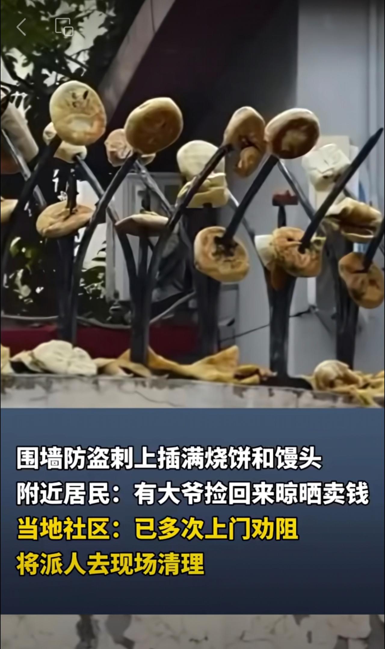 围墻防盜刺上插满烧饼和馒头
附近居民：有大爷捡回来晾晒卖钱
当地社区：已多次上门