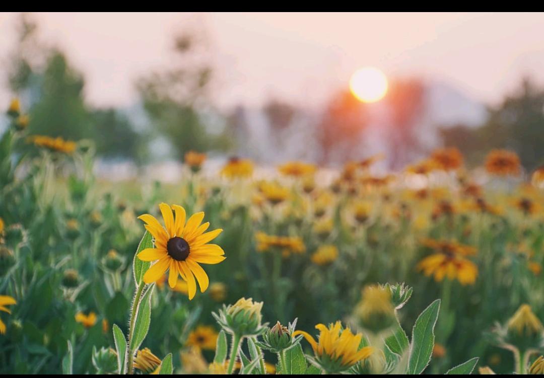 幸福的生活，其实没有统一答案，大概是这几种样子：
 
- 有健康的身体，能吃能睡