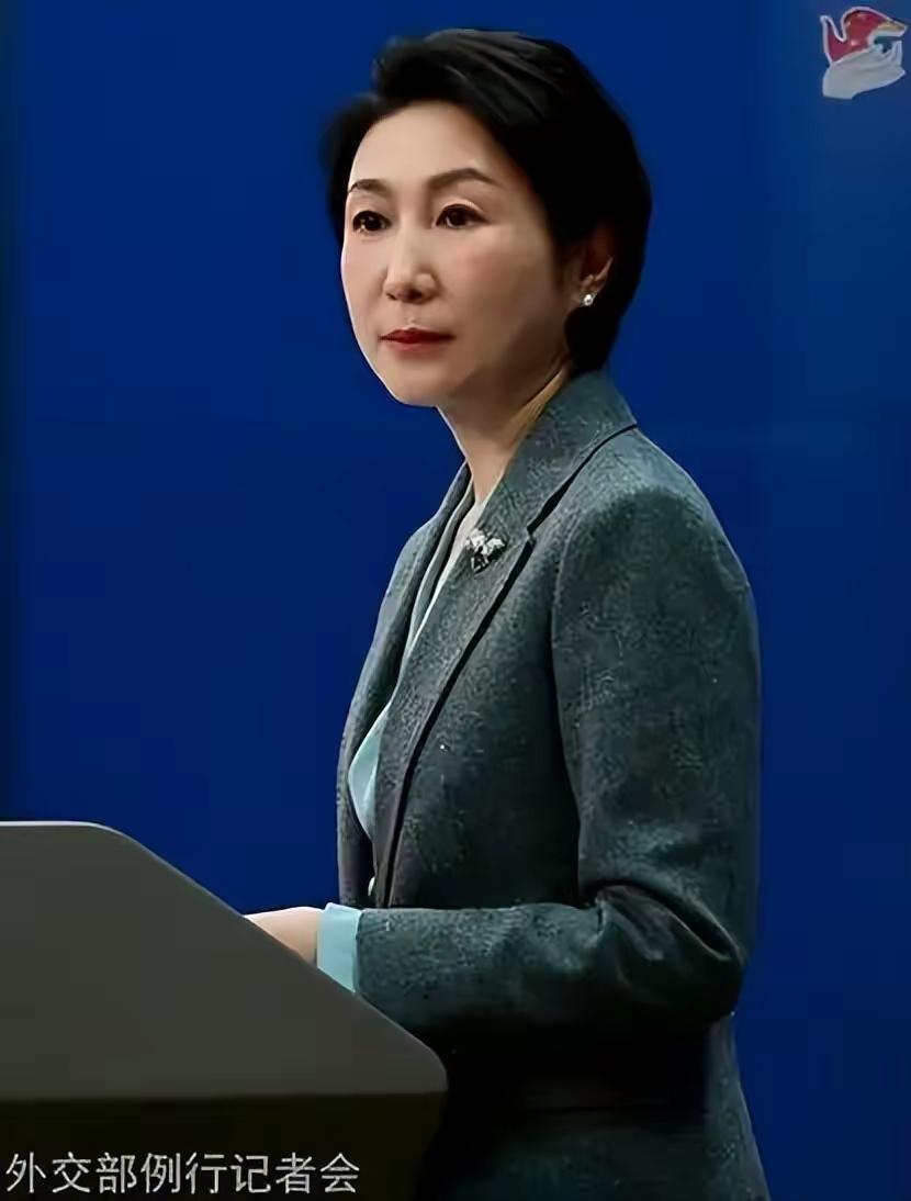 4月7日，外交部发言人毛宁在例行记者会上，针对日本政府计划放宽武器出口规则这件事