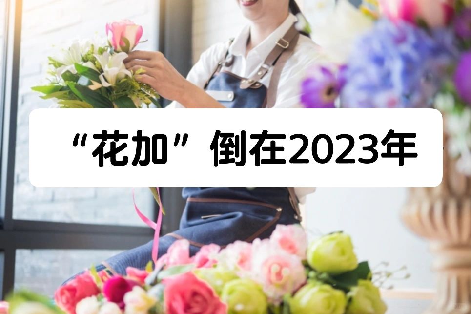 笔记｜“花加”倒在2023年