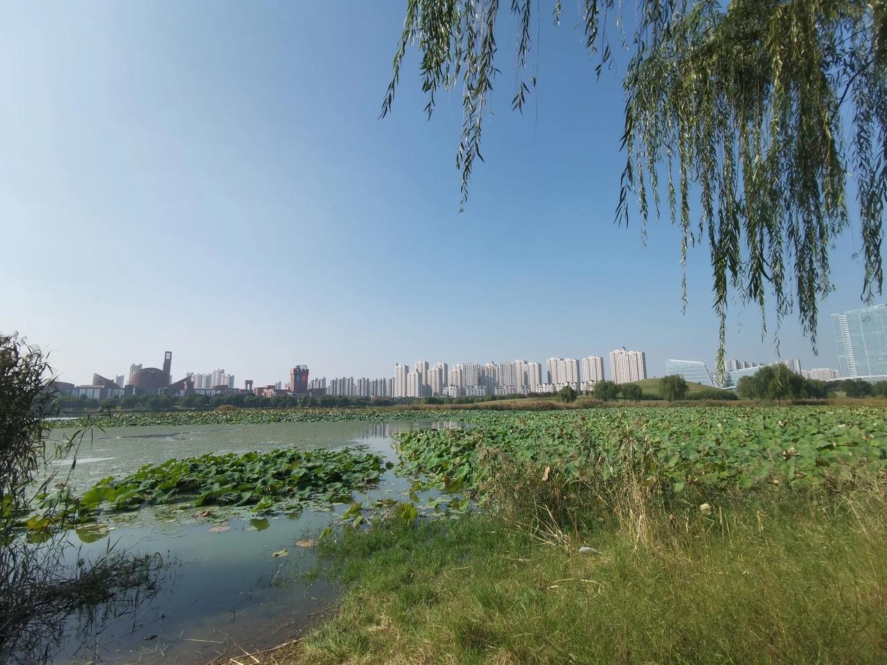 合肥蜀西湖并没有碰瓷西湖！只是在大蜀山西边而已。

去合肥科技馆玩，感觉自己可能