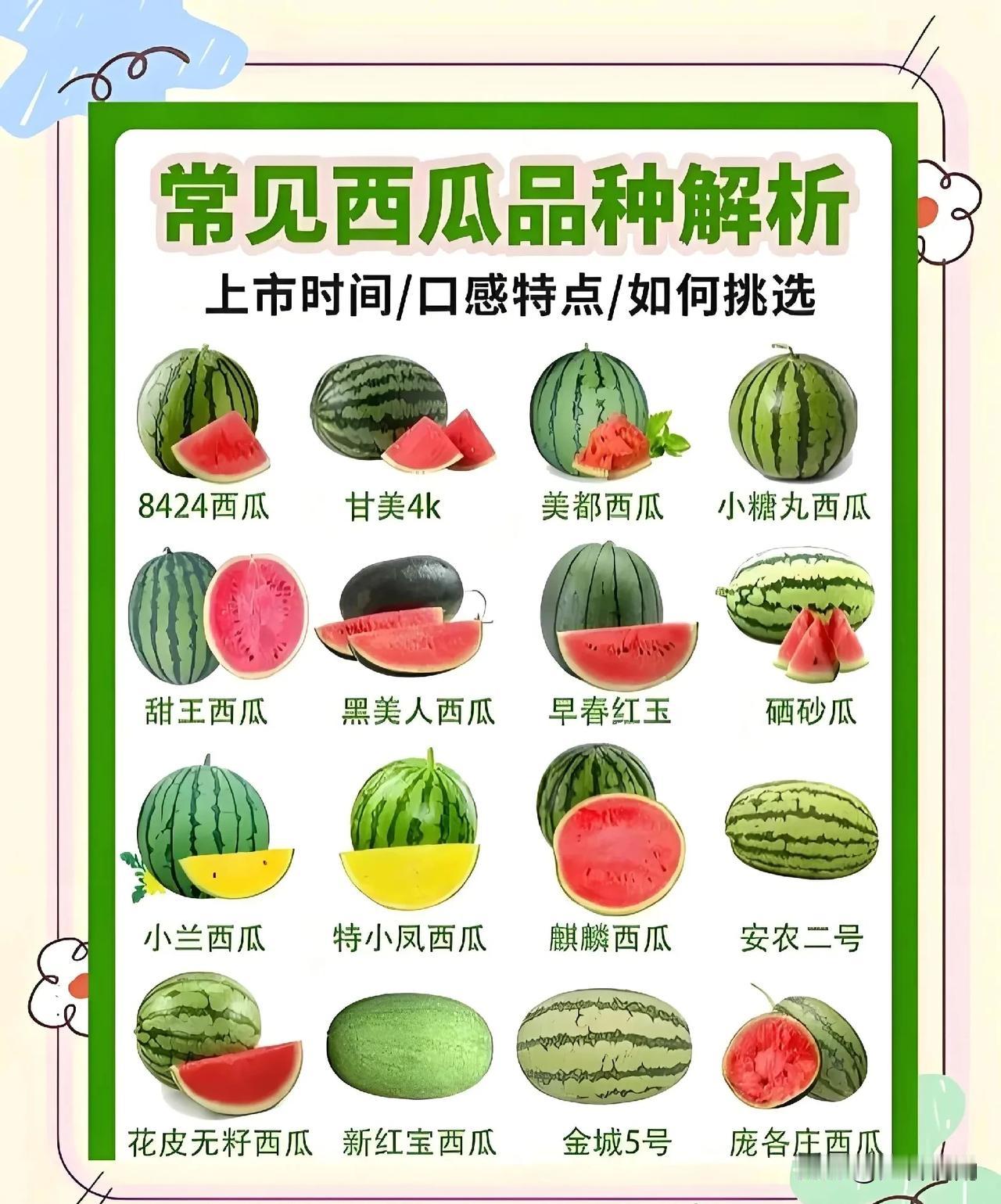 🍉西瓜品种大解析🍉：口感、上市时间、选购指南一图搞定！😋👍