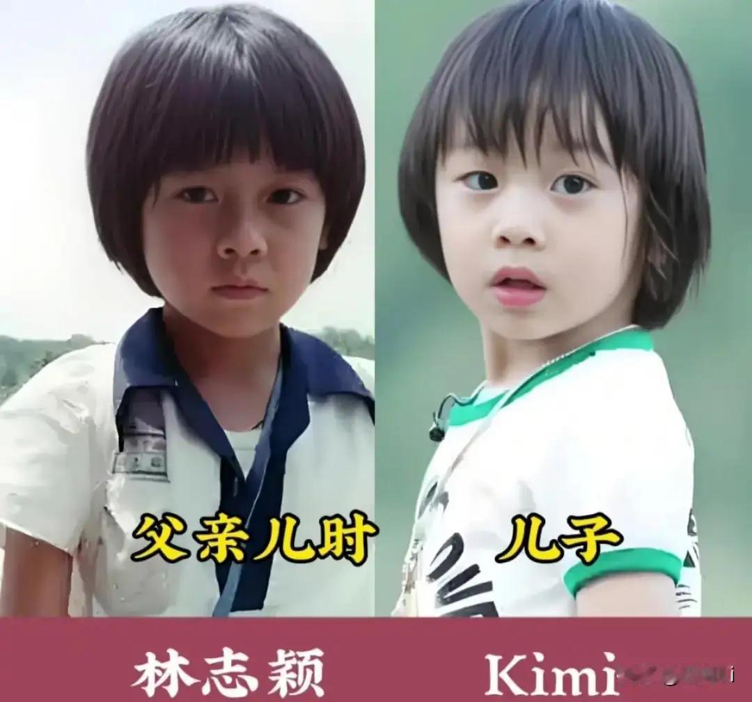 林志颖儿子长得很像他小时候。
李佳航的儿子长得很像他小时候。
潘粤明的儿子长得很